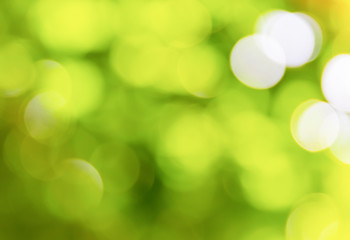 Obraz premium green bokeh natural color abstract blurred background Warm leaf of tree and bright summer sunlight