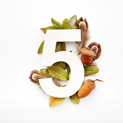 Autumn concept. Number five shape with autumn leaves, acorns and fearhers. Nature concept. Flat lay. Top view
