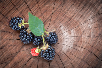 Freshly picked blackberries on a stump at the garden. Juicy and fresh berries with leaves on rustic wooden surface. Concept for healthy natural eating and nutrition.