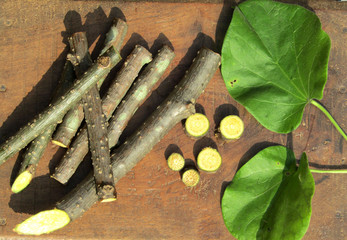 Medicine herbs stags and leafs, Giloy,Tinsfora cordifolia, cut piecs and slices