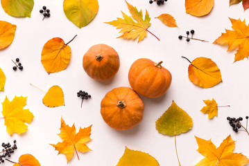 Small pumpkins in the center of fallen leaves on white