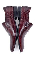 A pair of Executive Brown textured shoes in creative mode