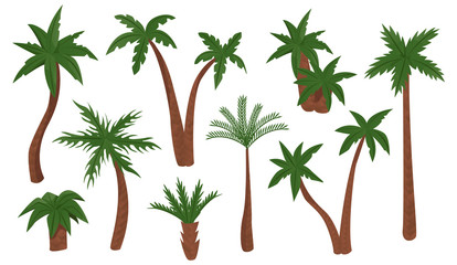 Palm trees vector illustration.