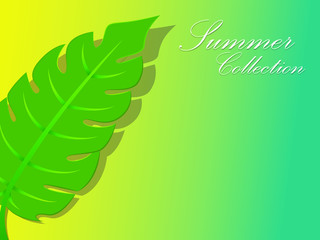 Summer banner with paper cut tropical leaves background, exotic floral design for banner, flyer, invitation, poster, web site or greeting card. Paper cut style, vector illustration