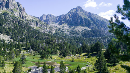 Mountains landscape with trees in summertime