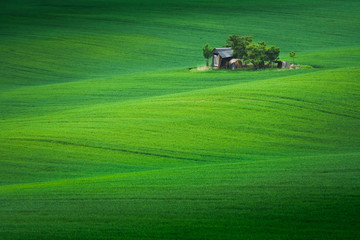 Spring in the field wave of South Moravia, Czech Republic