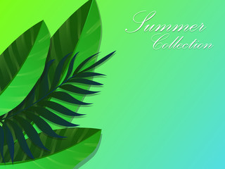 Fototapeta na wymiar Summer banner with paper cut tropical leaves background, exotic floral design for banner, flyer, invitation, poster, web site or greeting card. Paper cut style, vector illustration