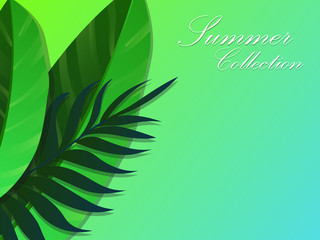Fototapeta na wymiar Summer banner with paper cut tropical leaves background, exotic floral design for banner, flyer, invitation, poster, web site or greeting card. Paper cut style, vector illustration