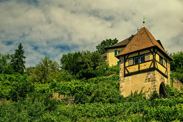 Fototapeta na wymiar An old watchtower between the vineyards of Esslingen