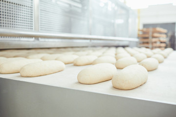 Fresh bread just baked in the bakery