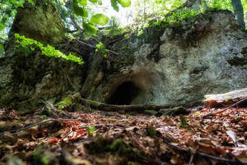 Small cave in forest