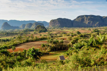 The Vinales valley in Cuba is a major tobacco growing area