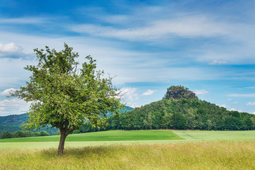 Obraz premium Sächsische Schweiz 