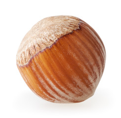 Hazelnut isolated on white background with clipping path