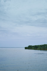 green grass reflecting on the lake. ducks swim in river