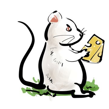 エメンタールチーズ Images Browse 112 Stock Photos Vectors And Video Adobe Stock