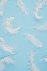 Fototapeta na wymiar Gentle soft white feathers pattern over pastel background