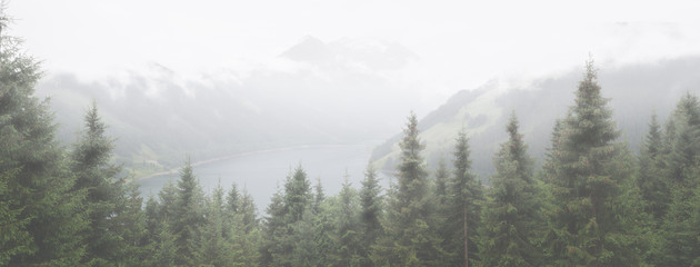 Spruce trees and a lake with mountains in fog