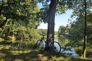 Fototapeta premium fahrradtour