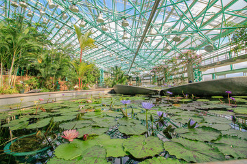水生植物公園みずの森