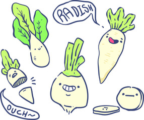 cartoon style radish doodle  . Radish vector illustration