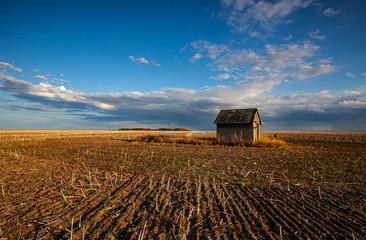 Old barn and empty field after harvesting in sunny day.