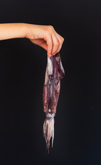 Female hand holds squid on a dark background