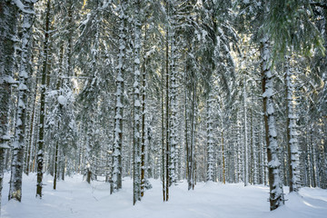 Winterurlaub und Wandern in Lenzkirch im Schwarzwald bei Schnee