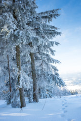Winterurlaub und Wandern in Lenzkirch im Schwarzwald bei Schnee