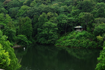 Naklejka premium Green view