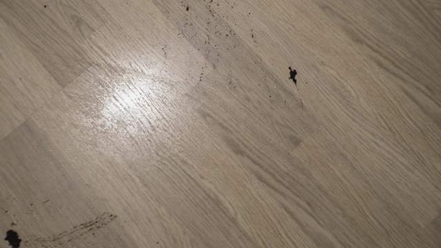 Woman cleaning parquet floors in the living room.