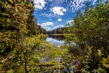 Fototapeta na wymiar A beautiful transparent forest lake with a bright blue sky reflecting in it.