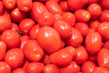 Showcase with tomatoes in a supermarket. A lot of red tomato. The choice of products. vegetables