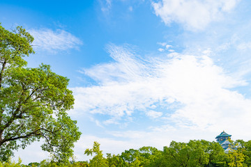 Obraz premium 大阪ビジネスパーク周辺風景