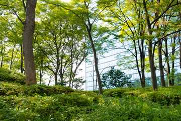 大阪ビジネスパーク周辺風景