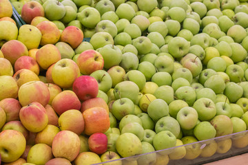 Showcase with apples in a supermarket. A lot of green apples. The choice of products. Fruit