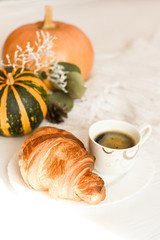 Pumpkin on a white background with a scarf and a décor. place for your text, autumn composition