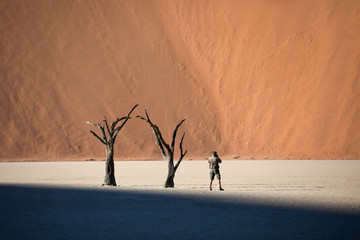 Dead acacia trees casting shadows during sunrise in arid Deadvlei pan. Sossusvlei, Namibia.