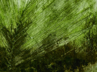 green moss on concrete wall texture