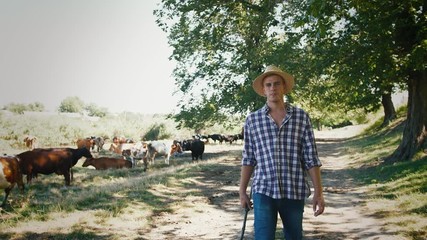 Young villager man shepherd in straw hat walking with his flock of cows on a rural background, slow motion