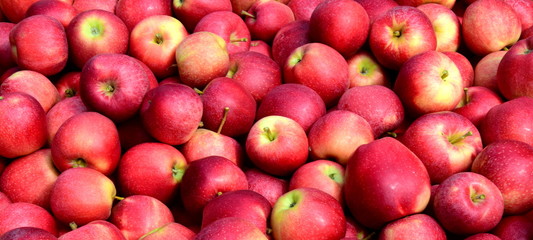 Apfel - rote Äpfel - Apfelernte - Hintergrund und Textur