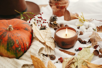Pumpkin and candle with berries, fall leaves, anise,herbs, acorns, nuts, cinnamon, cotton on white textile. Hygge lifestyle, autumn mood. Happy Thanksgiving. Cozy inspirational image