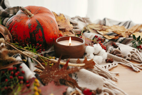 Hygge lifestyle, autumn mood. Pumpkin and candle with berries, fall leaves, anise,herbs, acorns, nuts, cinnamon, cotton on brown blanket. Happy Thanksgiving. Cozy inspirational image