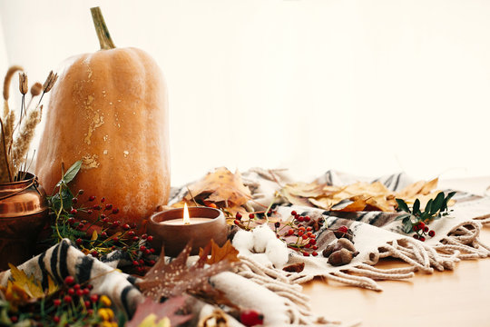  Pumpkin and candle with berries, fall leaves, anise,herbs, acorns, nuts, cinnamon, cotton on brown blanket. Hygge lifestyle, autumn mood.Happy Thanksgiving. Cozy inspirational image