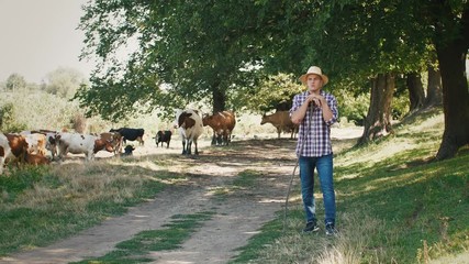 Young villager man shepherd in straw hat with his flock of cows on a rural background, slow motion