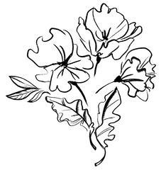 Flowers ink. Vector floral illustration. hand drawn bouquet