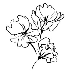 Flowers ink. Vector floral illustration. hand drawn bouquet
