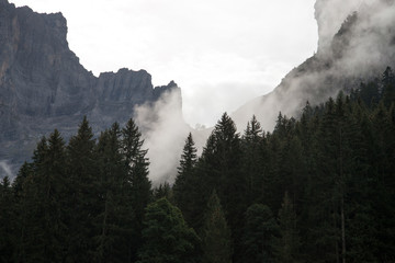 In den Wolken