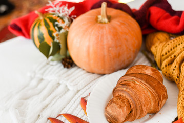 Pumpkin on a white background with a scarf and a décor. place for your text, autumn composition