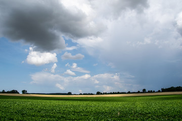 Fototapeta premium Horizont Wolken Himmel über dem Feld